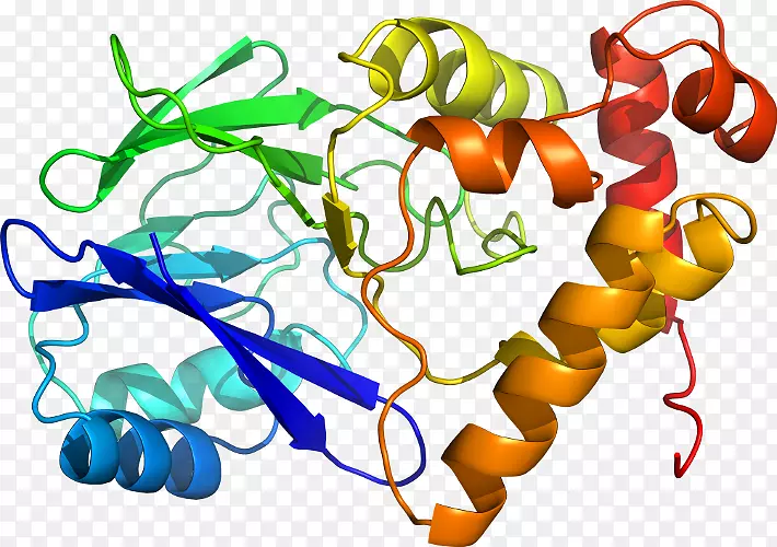 ����ֲ���л����߼�����-�߲�-������