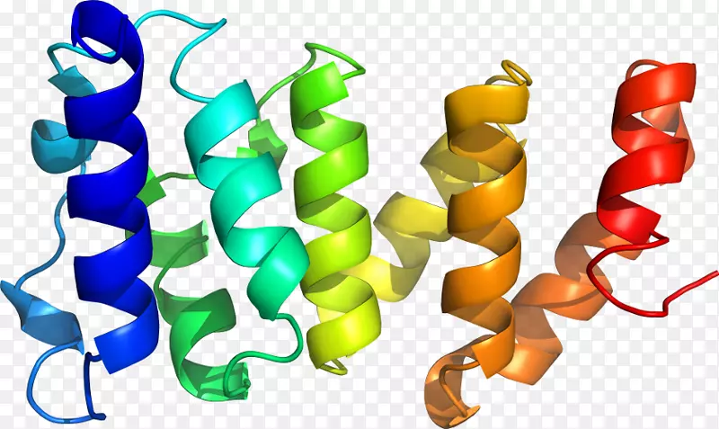 �л�����������-������