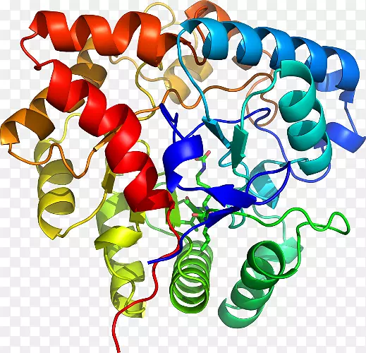 �����鱦�л��������.�鱦-������