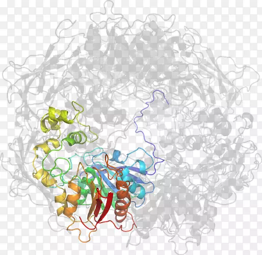 ���߼�����-��-������