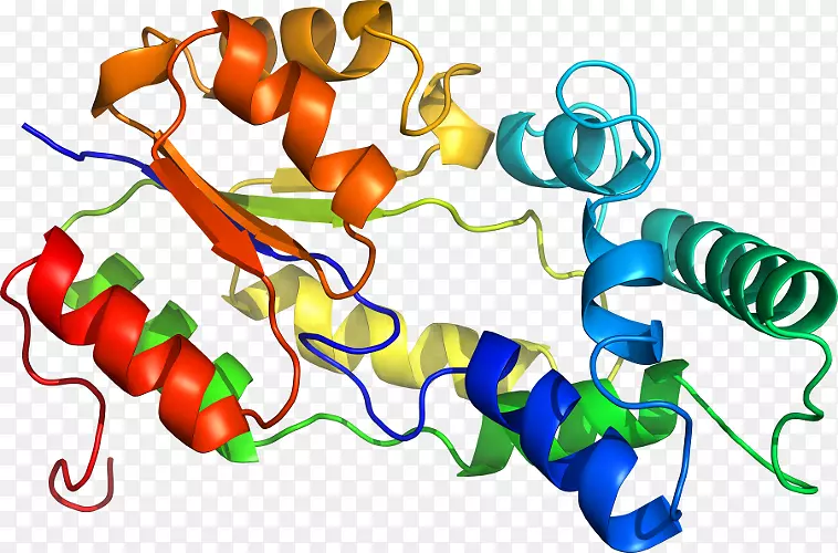 ������Ϊ���������-������