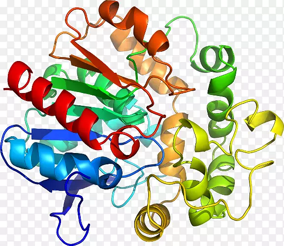 �����鱦�л�������������.�鱦-������