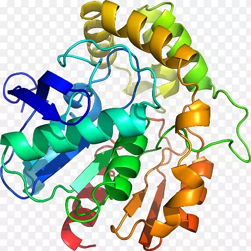 ���߼�����-��-������