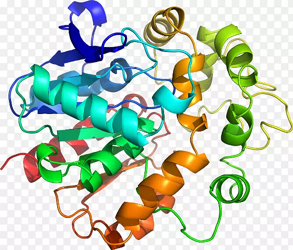 �����鱦���л����������-������