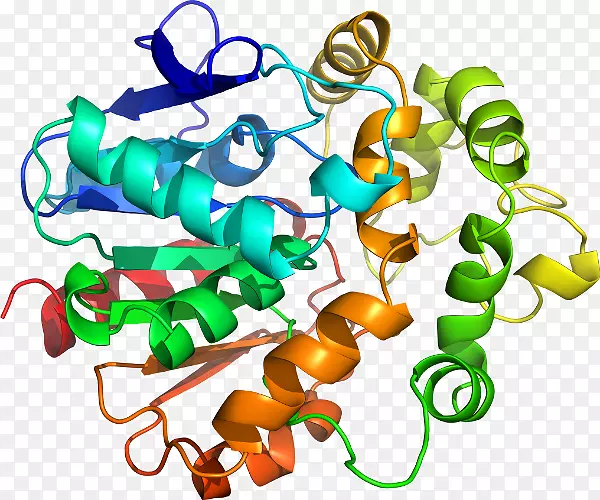 �����鱦������.���-������