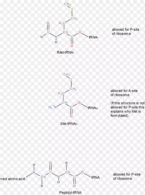 ֱ�ߵ����-������