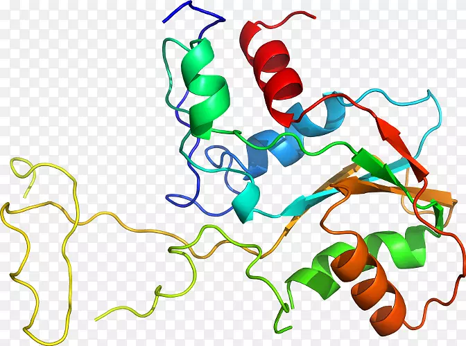 �ߵ������������-������