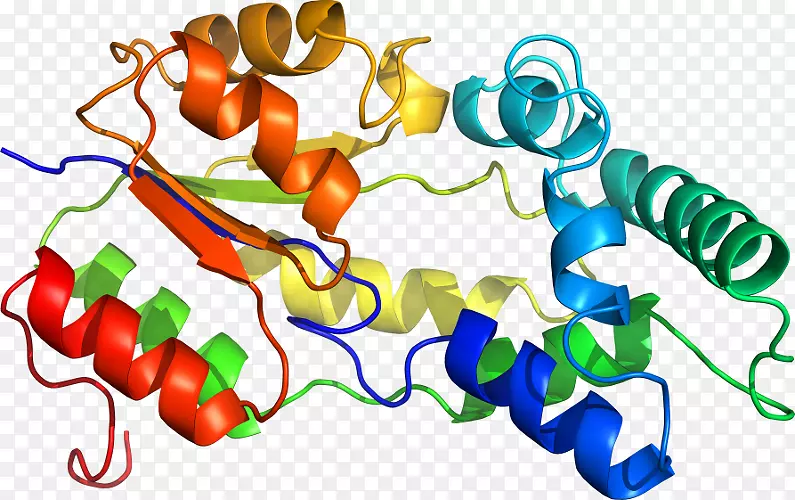 �ߵ������������-������