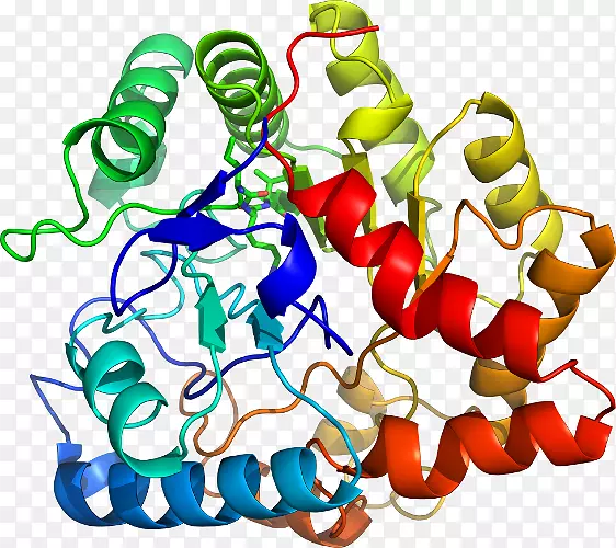 �����߶����������-������