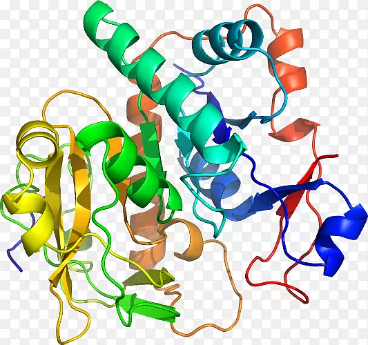 ���������л����߼�������-������