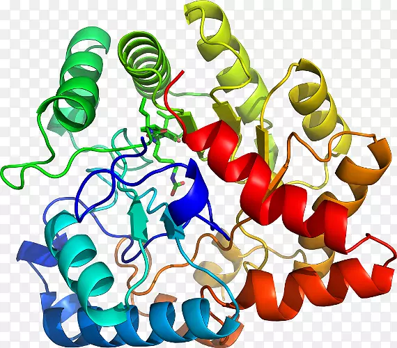 �����߶����������-������