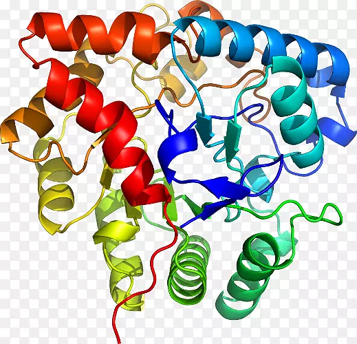 �����鱦�л��������.�鱦-������