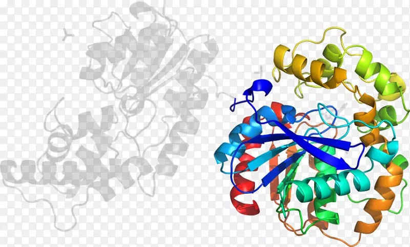 ���߼�����-��-������