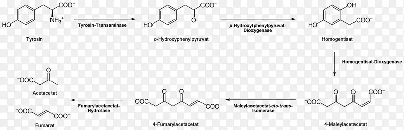 �Ұ���������ѭ�������԰������״����-������