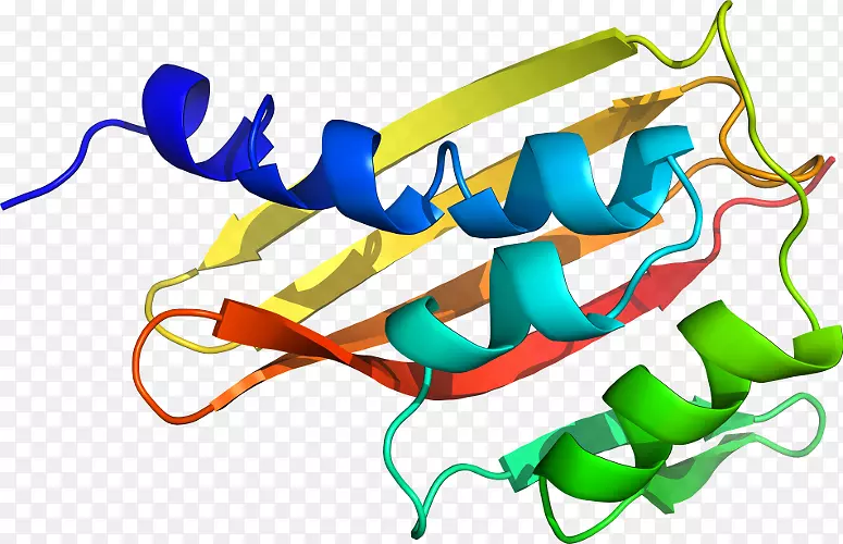 ƽ����Ƽ�����.���-������