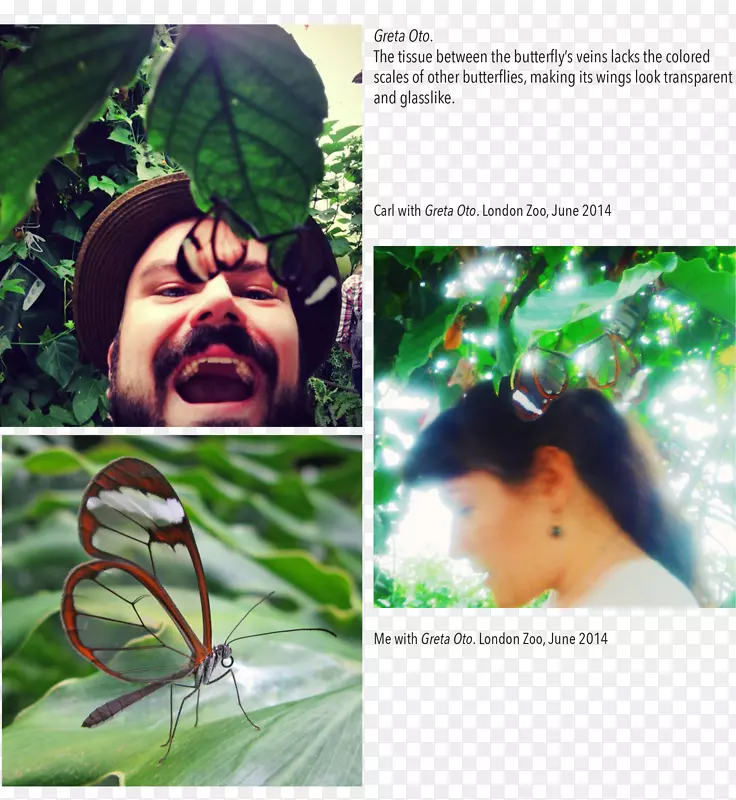 ���ﲣ�����������ﲣ��-������