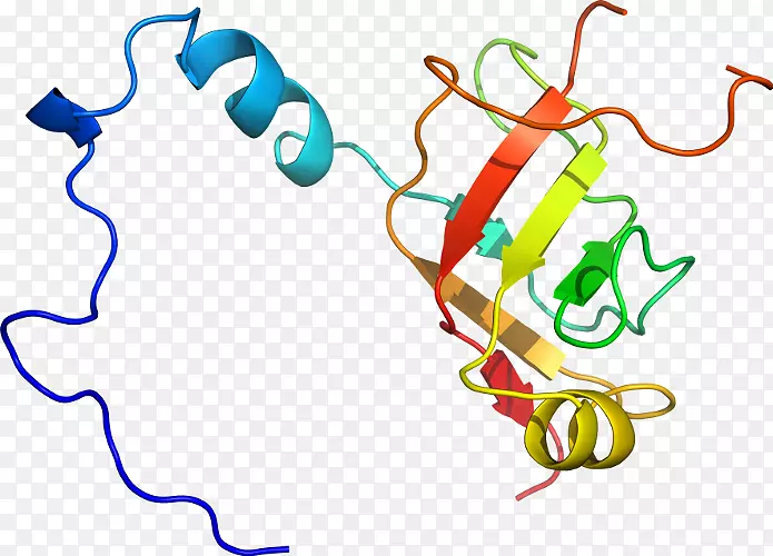 �ߵ������-��-������