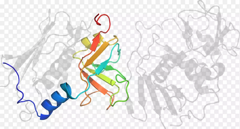 ƽ��������������������-������