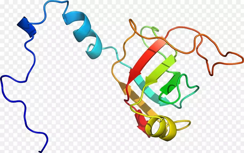 �ߵ������������-������