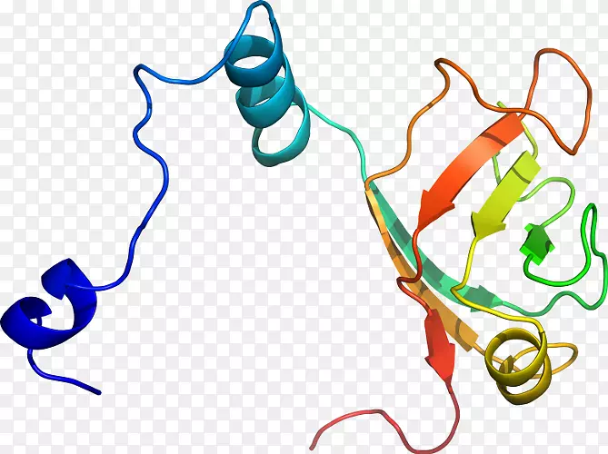 �ߵ������������-������