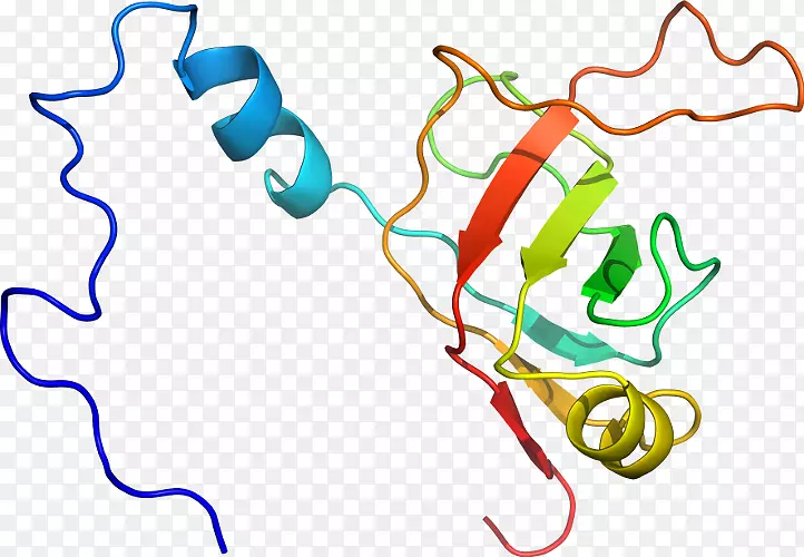 �ߵ������������-������