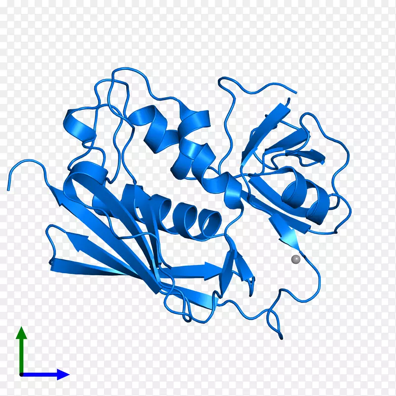 ����ƽ����Ƶ��������-������