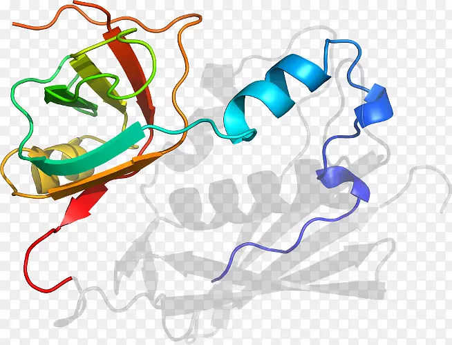 �ߵ������������-������