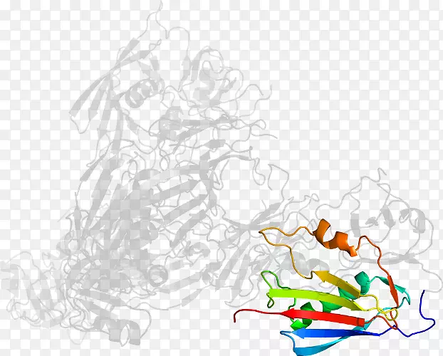 ����������������-��-������