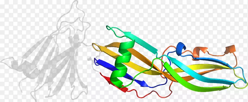 �ߵ������-��-������