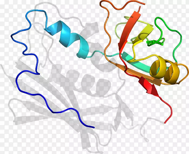 �ߵ������������-������