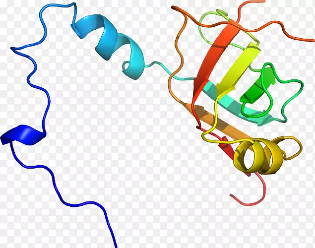 �ߵ������������-������