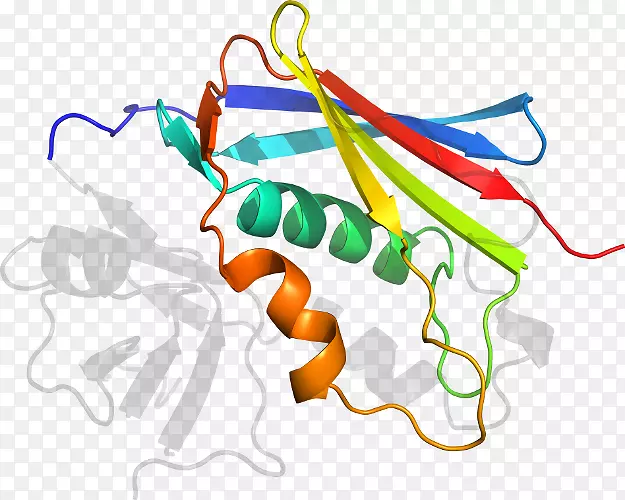 �ߵ������������-������