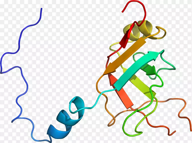 �����������������-������