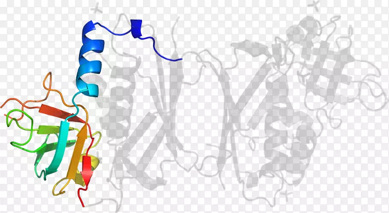 ���������-������