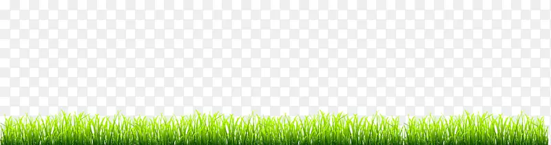 ��ƺ�����ֽ�ݵزݵ���-������