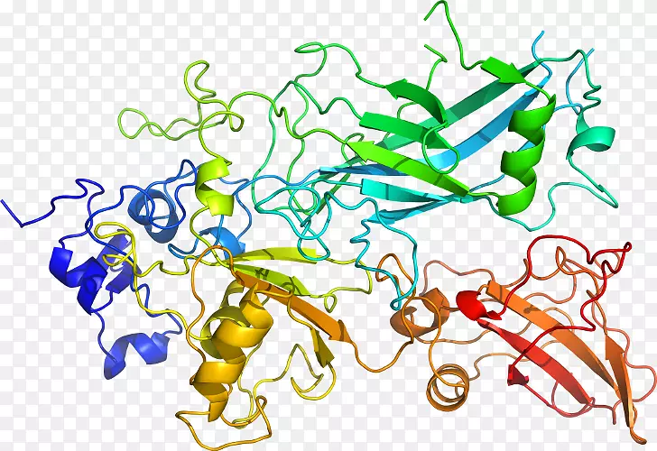 �ߵ�����������-������