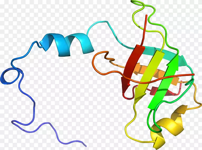 �ߵ������-��-������