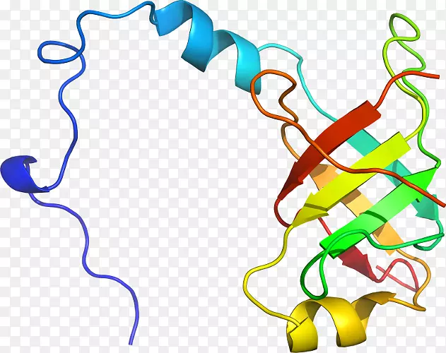 �ߵ������������-������