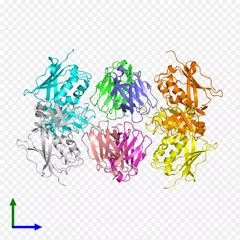 �ߵ������-��-������