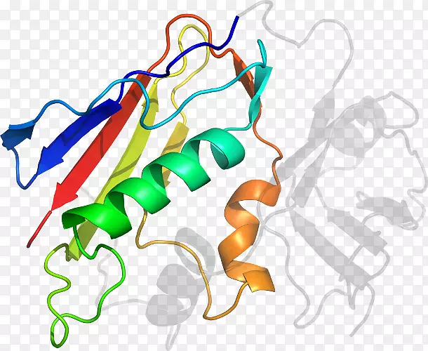 �ߵ������������-������