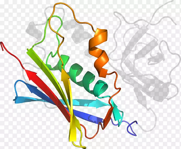 �ߵ������������-������