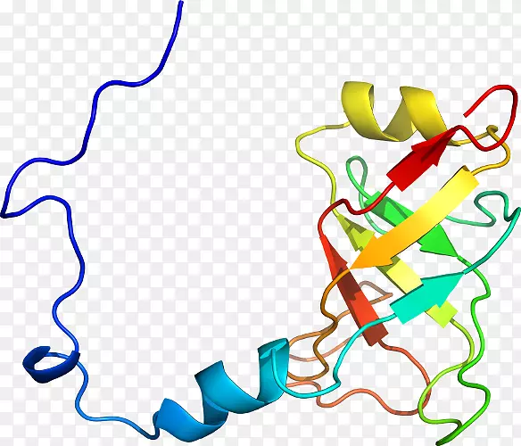 �ߵ������������-������