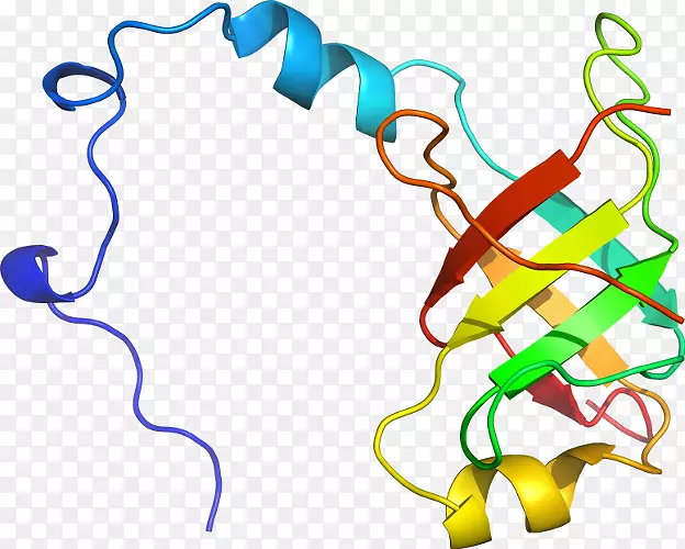 �ߵ������������-������