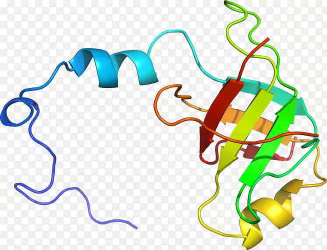 �ߵ������-��-������