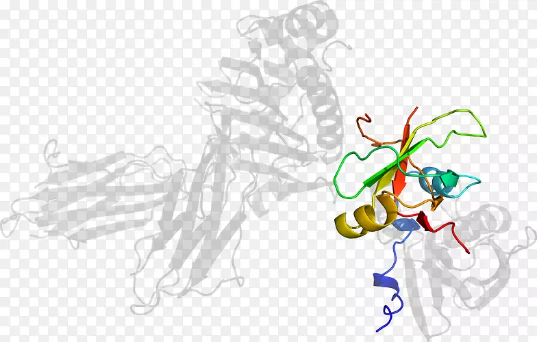 �����ֽ���Լ���������-������