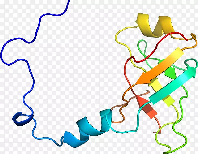 �ߵ������������-������