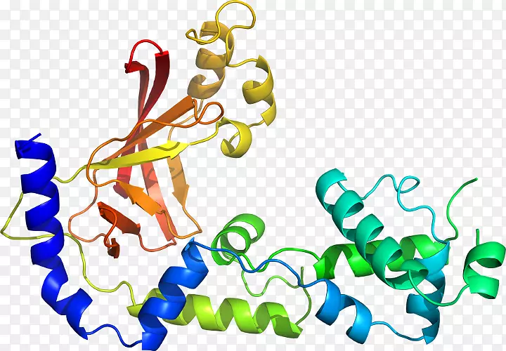 ����ƽ����Ƶ��������-������