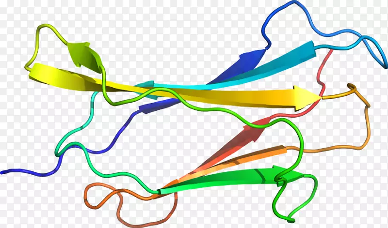 �ߵ������-��-������