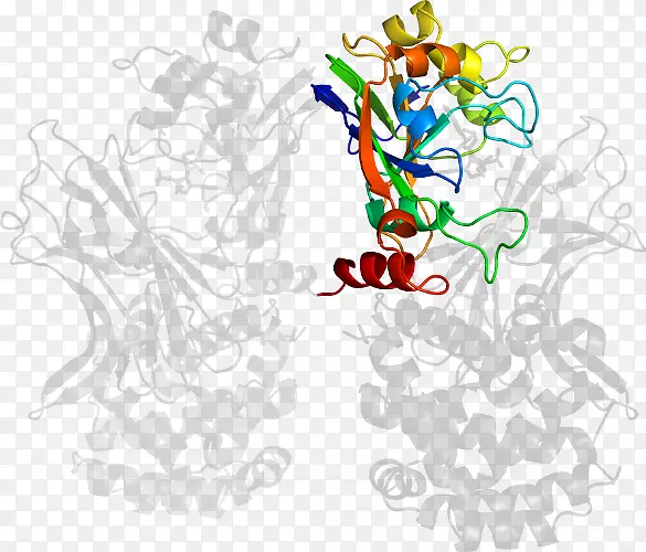 ƽ��������������������-������