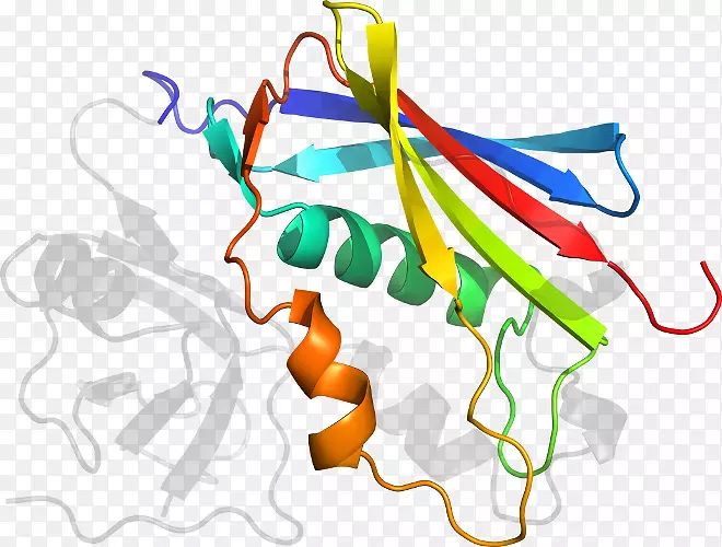 �ߵ������������-������